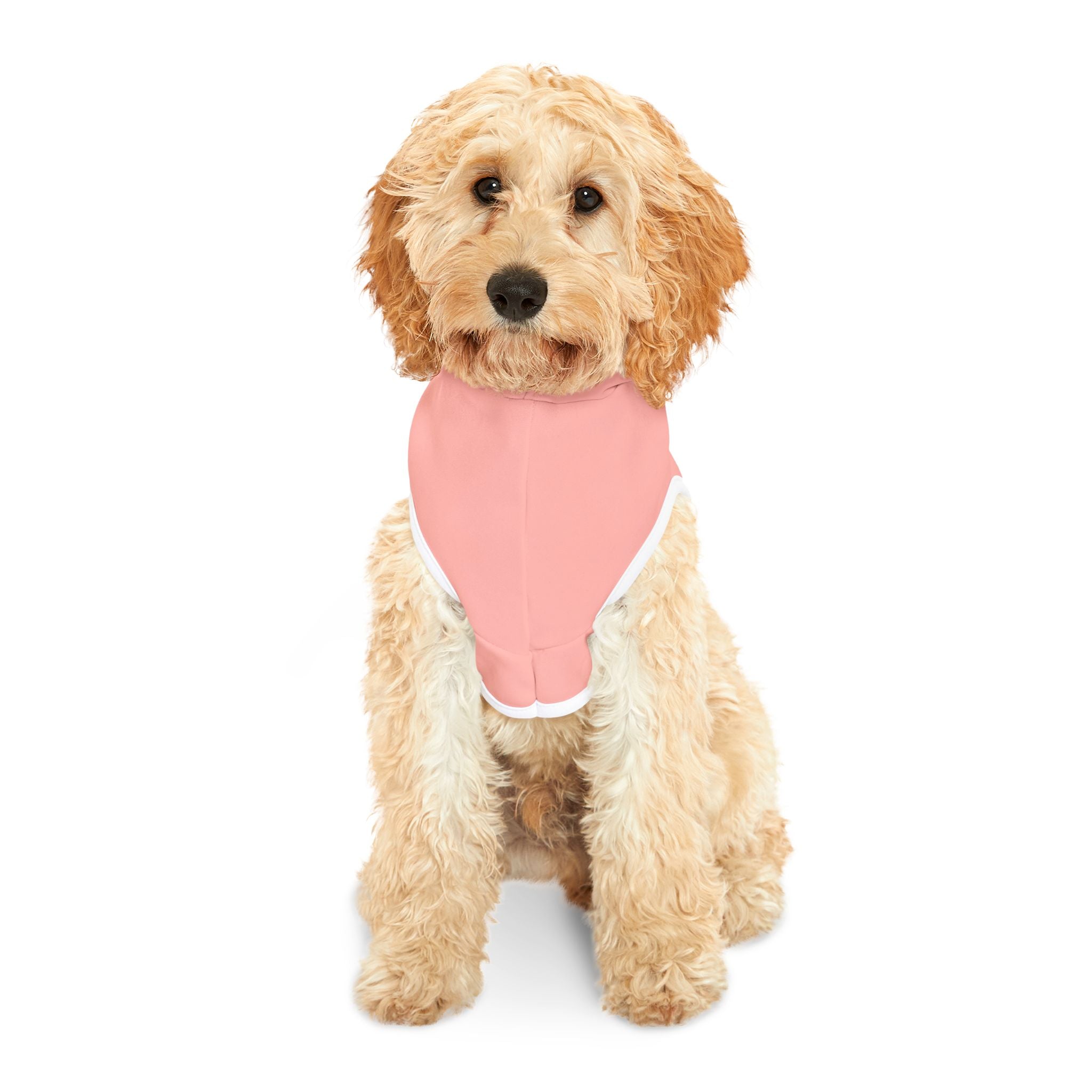 Official Dog Ma'am Hoodie