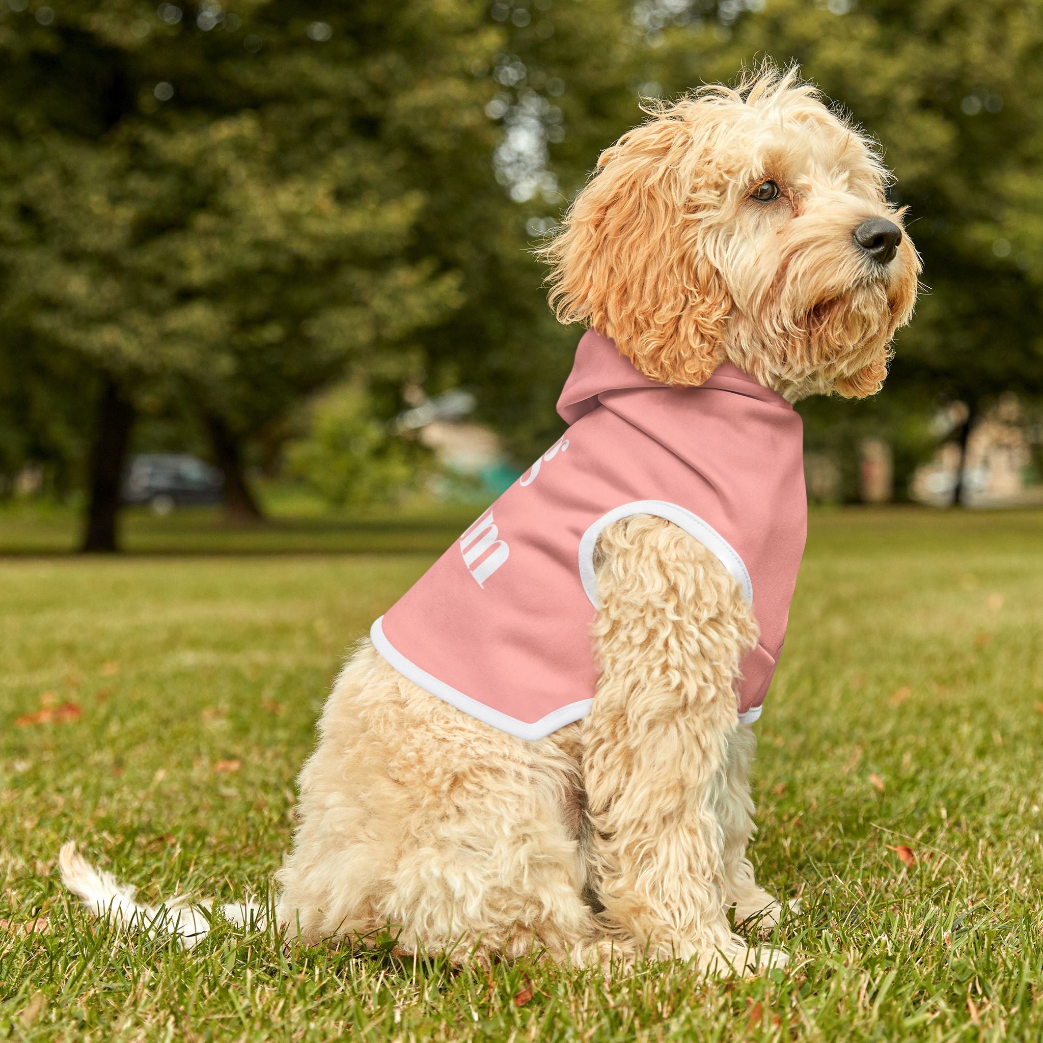 Official Dog Ma'am Hoodie